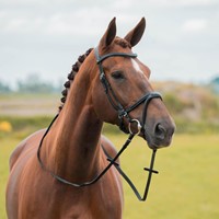 180088H232 32 60010801 2