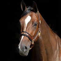 2064070 32 600107 02