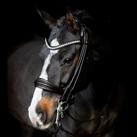 R 1284 32 60010801 2