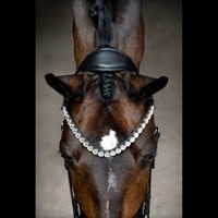 R 1385 32 60010803 4