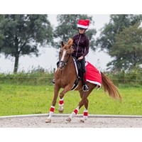 4024RO0 32 60011002 2