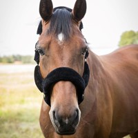 20699001 32 600107 4