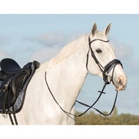 5294GS 32 60010805 3